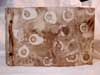 A back to nature stab bound book using a twig and walnut ink.
