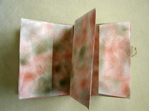 The inside envelopes were decorated with inks to coordinate with the colors on the cover of the book.