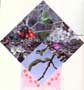 See Kristi's explosion element opened on Sharon Rieger's deco page.