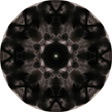 This mandala is a loving tribute to Kristi's dog, Emma.