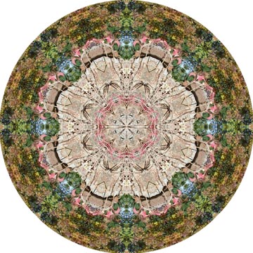 This mandala was made from a photograph of fall leaves on a stone pillar.