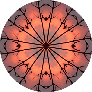 This spooky mandala was made from the sillhouette of a branch againts an October sunset.