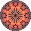 View this mandala made from the sillhouette of a tree branch against an October sunset.