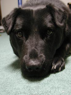 Emma in her first year.