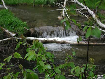 Downstream of Spearfish Falls near Spearfish, SD