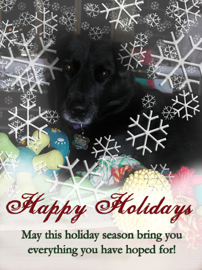 Happy Holidays!