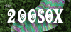200SOX