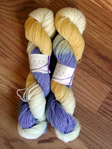 A very springy Lorna's Laces Shepard Sock colorway!