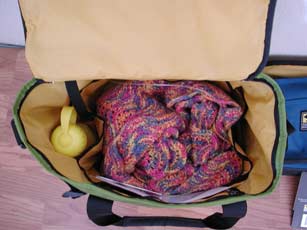 A inside glimpse of the best knitting bag ever, LOL!