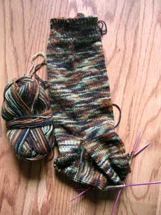 DH's Camo sock #1 as of the morning of May 12.