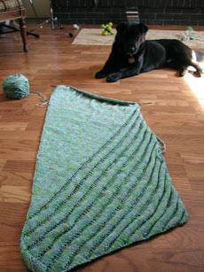 Clapotis as of 3-14-05