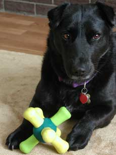 Emma with her new present!