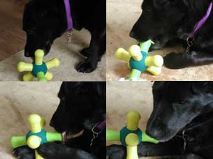 Emma enjoying her present!