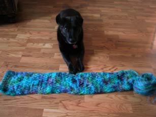 Flower of Life scarf as of 03-10.