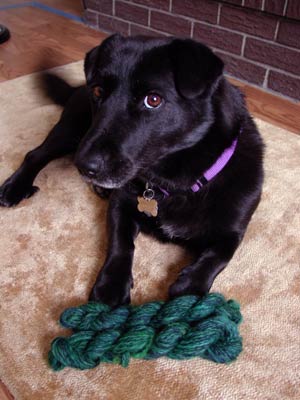 Emma shows off her mom's 85 yds of over dyed spindle-spun Coopworth wool.
