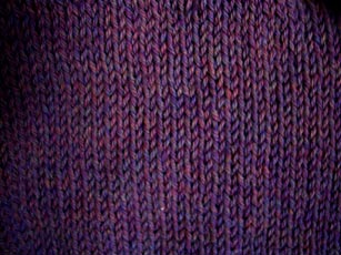 A close look at Lucy in Cascade 220 9454.