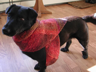 Emma modeling the multidirectional scarf again.
