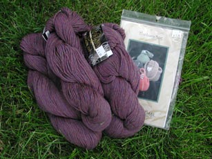 Pattern and yarn for the Lucy Bag bought at Uniquely Knit in New London, MN.