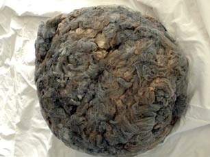The fleece out of the bag.