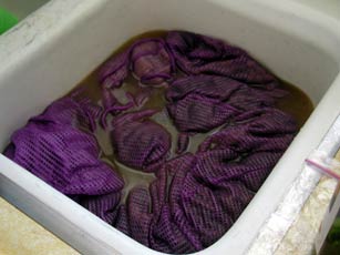The first rinse without soap.
