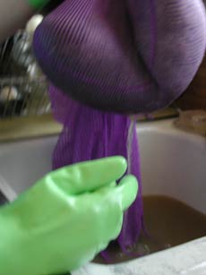 Letting gravity do most of the work of getting the water out of the dirty fleece.