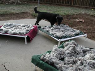 Fleece outside drying on towel-lined sweater drying racks.