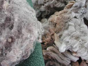 A comparison of washed and unwashed fleece.