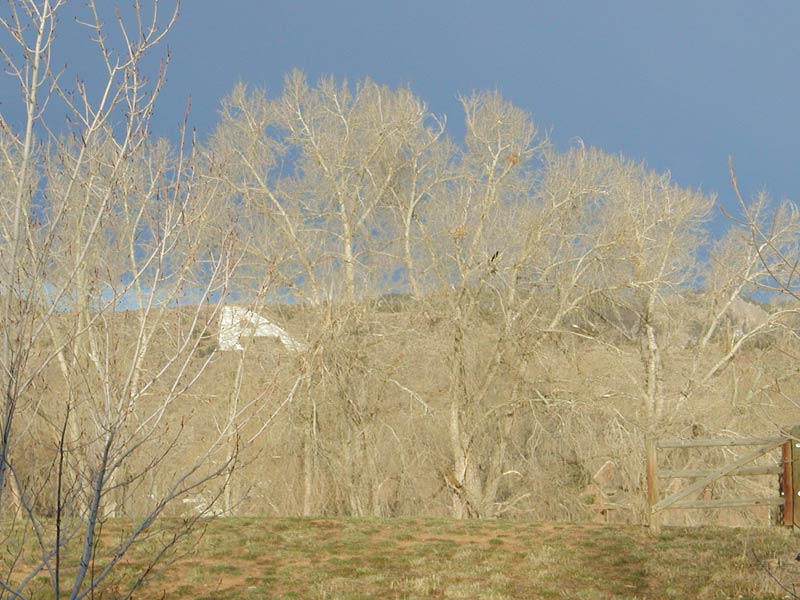 The foothills at sunrise.