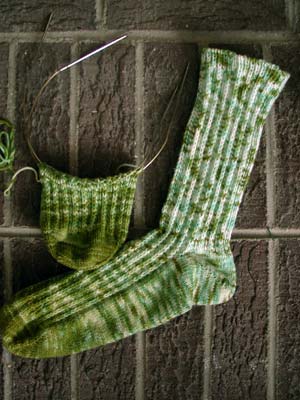 One completed swamp sock and one in progress.