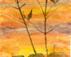 Printmaking for the Home Studio 6-Week Online Course
