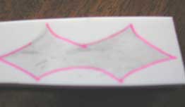 The transfered design enhanced with a ball point pen to accent the edges.