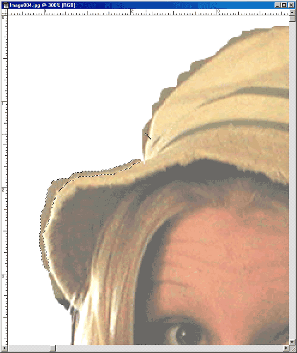 This is a screen shot of a zoomed in view of the edges of the lasso selection and it is being cleaned up with the magix wand tool.